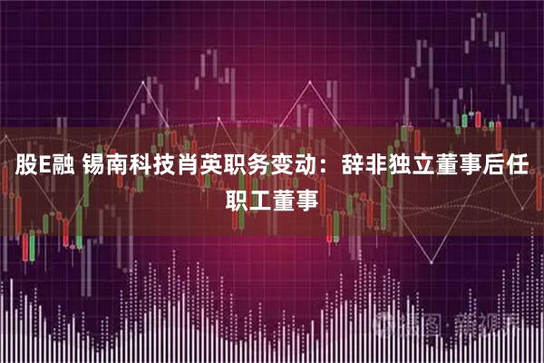 股E融 锡南科技肖英职务变动：辞非独立董事后任职工董事