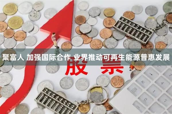 聚富人 加强国际合作 业界推动可再生能源普惠发展