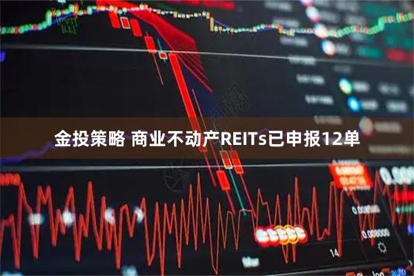 金投策略 商业不动产REITs已申报12单