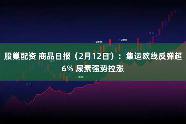 股巢配资 商品日报（2月12日）：集运欧线反弹超6% 尿素强势拉涨